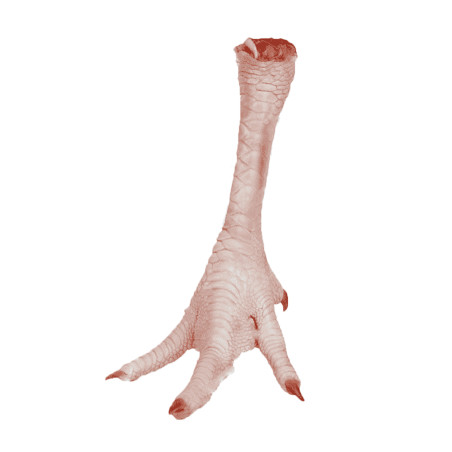 PATTES DE POULET 10KG