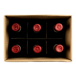 VIN CHIANTI 6X75CL