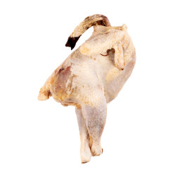 POULE ENTIERE HALAL 10KG
