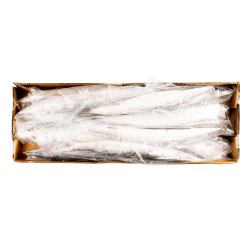 BARRACUDA 500/1000 10KG