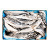 CHINCHARD ENT 500/900G 20KG