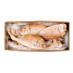 DORADE ROSE G/V 1000+ 10KG