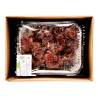 FOIE DE DINDE HALAL BARQ 5X2KG