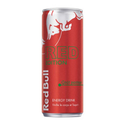 RED BULL GOUT PASTEQUE 24X25CL