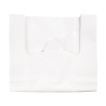 SACS CLIENT BLANC P. 260X450