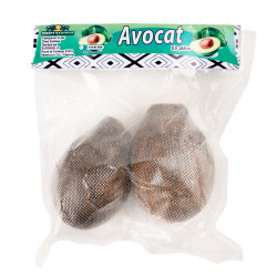 AVOCAT S/V CIV 10KG