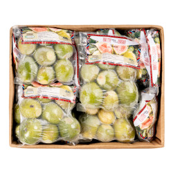 GOYAVE ENT 16 PCS CIV PV
