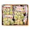 GOYAVE ENT 16 PCS CIV PV