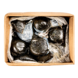 MATEMBELE CAMEROUN 20X500GR