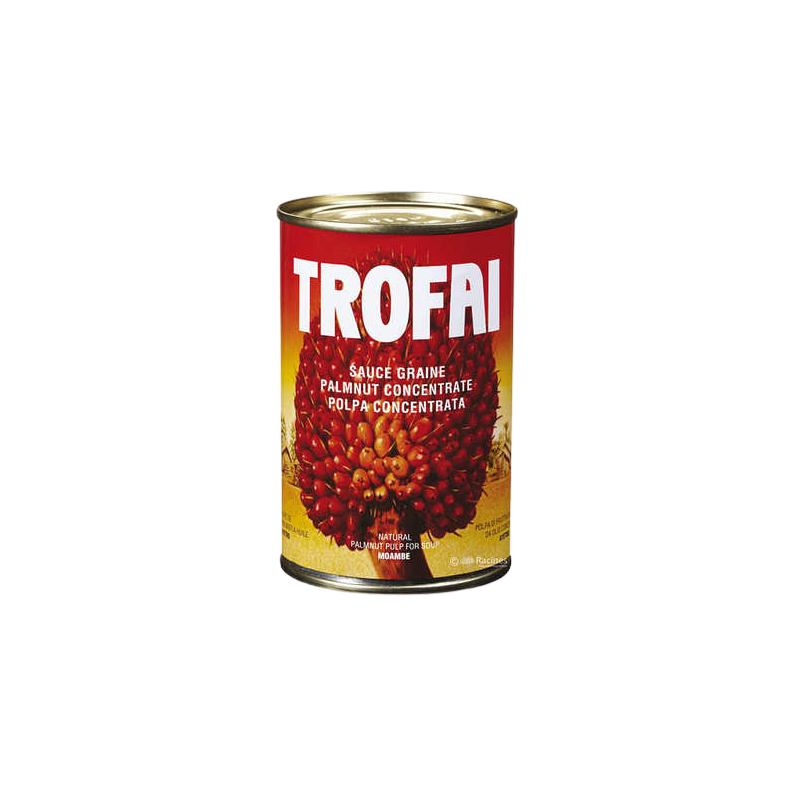 SAUCE GRAINE TROFAI 24X400G