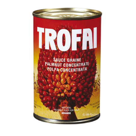 SAUCE GRAINE TROFAI 24X400G