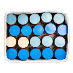 PUREE DE TOMATE BOCAL CIV 20X500G