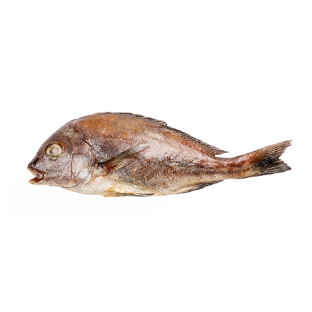 BURRO CARPE GRISE E/V 200/400G 10KG