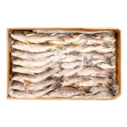BURRO CARPE GRISE E/V 200/400G 10KG