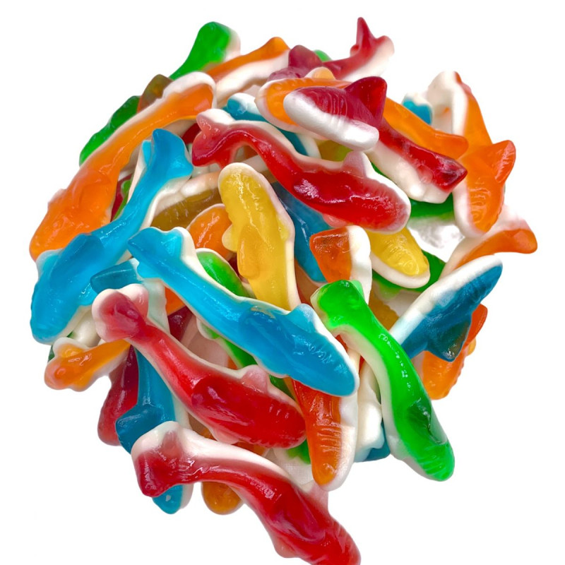 BONBON REQUINS HALAL DAMEL 12X80G