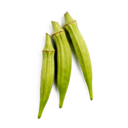 GOMBO HONDURAS 5KG