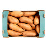 PATATE DOUCE ORANGE 6KG