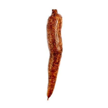 MANIOC COSTA RICA 18KG