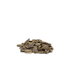 GRAINES DE TOURNESOL NOIRE...