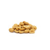 ARACHIDE BLANCHIE FRIT SALES 24X500G
