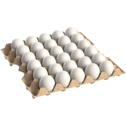 OEUFS BLANC TAILLE M 10X30...