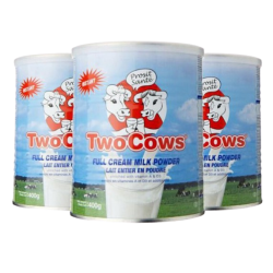 LAIT NIDO 24X400G