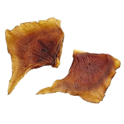 AILES DE RAIE FUMEES 8X500Gr