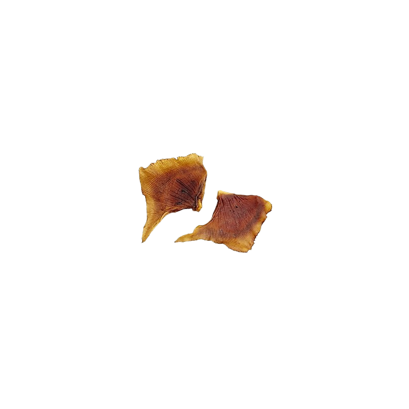 AILES DE RAIE FUMEES 8X500Gr