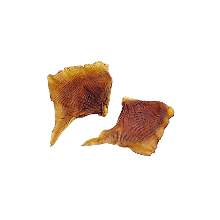 AILES DE RAIE FUMEES 8X500Gr