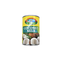 LAIT COCO CARRIBEAN 12X400ML