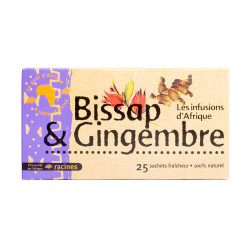 INFUSION D'AFRI GING-BISSAP 10X40G