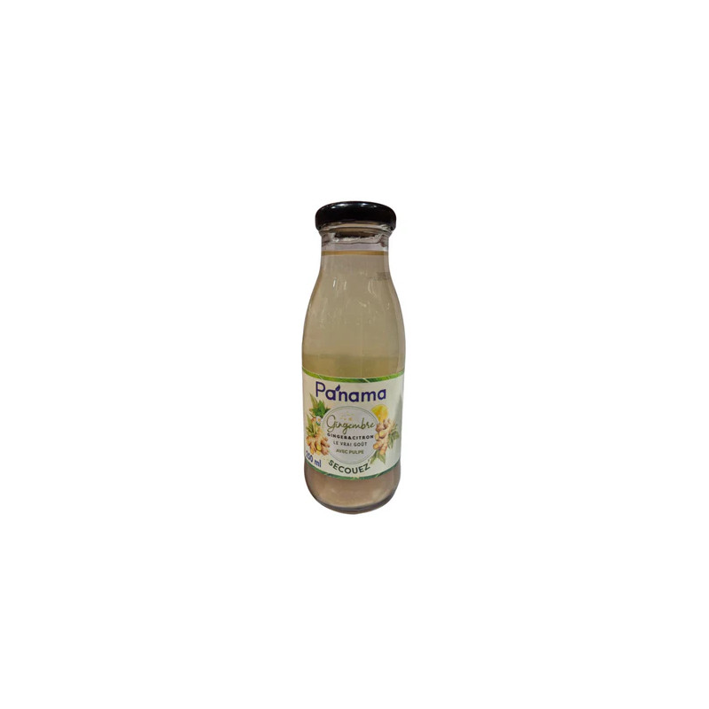 JUS GINGEMBRE-CITRON PANAMA 24X250ML