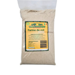 FARINE DE MIL SENEGAL 20X500G