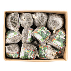 FEUILLE DE MATEMBELE CIV 20X400G