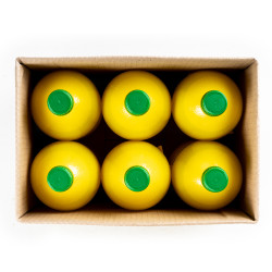 JUS DE CITRON 6X1L
