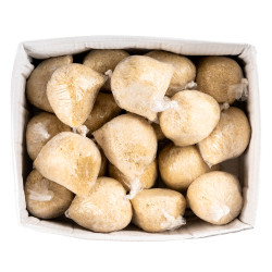 ATTIEKE AGBODJAMA CIV 10KG