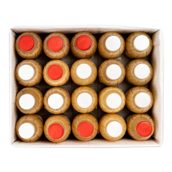 JUS DE GINGEMBRE CIV 20X0.5L