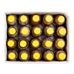 JUS DE TAMARIN CIV BTL 20X0.5L