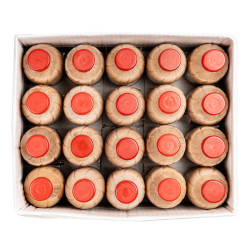 JUS DE BAOBAB CIV BTL 20X0.5L