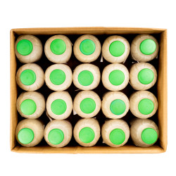 JUS DE PETIT COLA CIV 20X0.5L