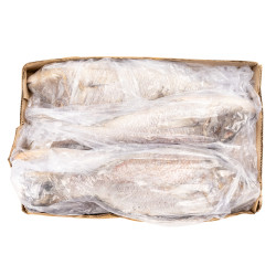 CAPI EMPEREUR V/E INDE 2/3KG 10KG