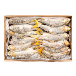 TASSERGALE 400+G 20KG