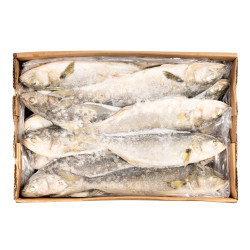 TASSERGAL ENT BEUR. 500-1000KG 20KG