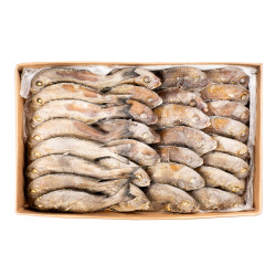 TRUITE DE MER 300G/500G 10KG