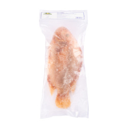 TILAPIA ROUGE V/E 500/800G...