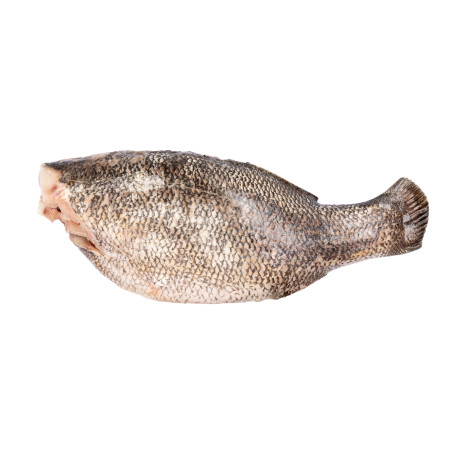 PERCHE DU NIL S/T V 3-7KG 20KG