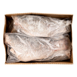 PERCHE DU NIL S/T V 3-7KG 20KG