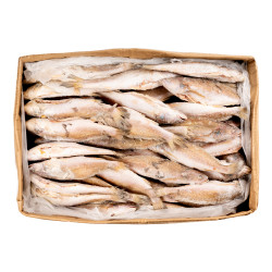 CAPITAINE SEN ENT. V/E 100-200G 10K