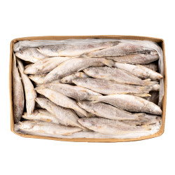 CAPITAINE SEN ENT. V/E 200-300G 10KG