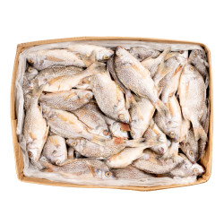 SOMPATTE ENT 150-200G 10KG